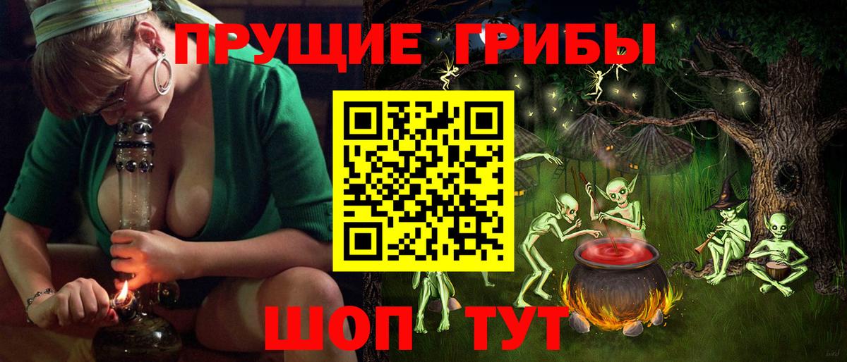Чернушка  Галлюциногенные грибы Psilocybe  где найти   Вход с VPN 
