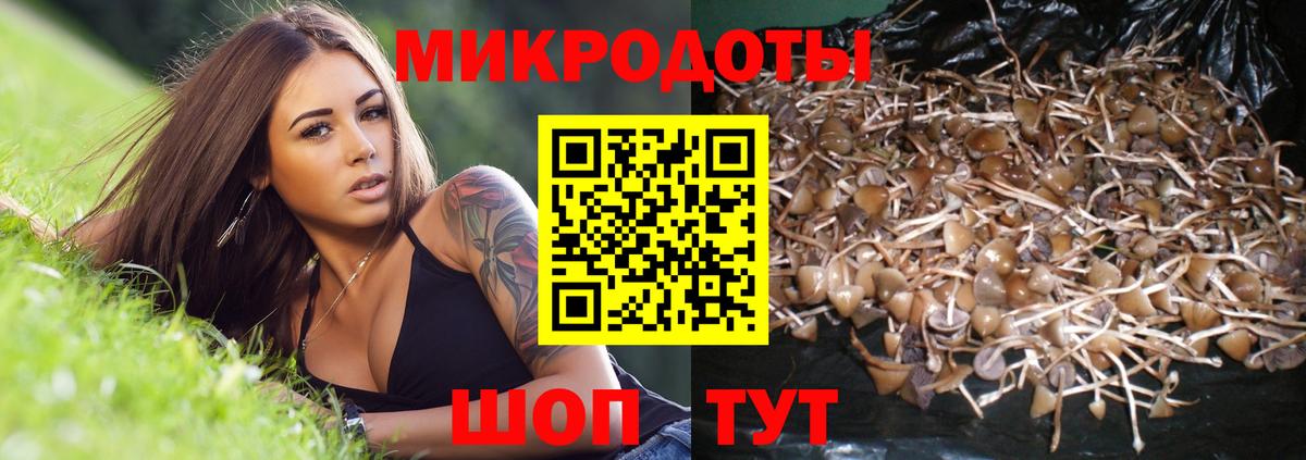 Галлюциногенные грибы Cubensis Чернушка